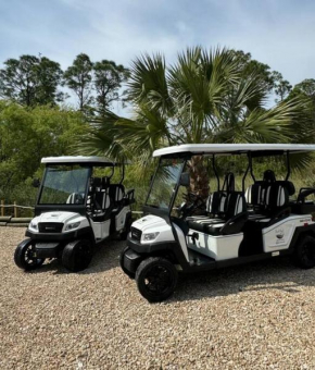 Beach Please! Complimentary 6-Seater Golf Carts!